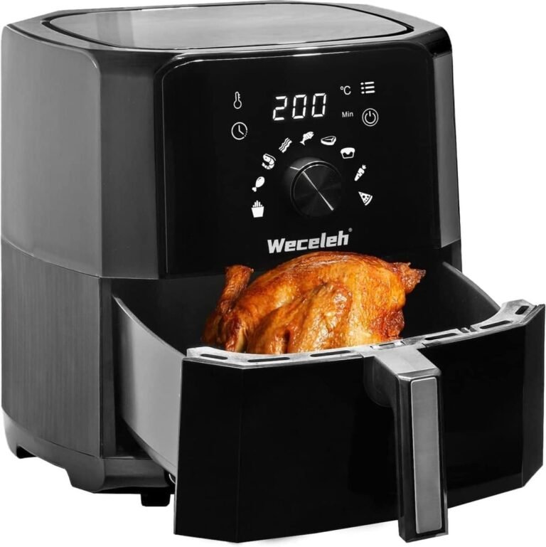 Weceleh FR-M Air Fryer Review
