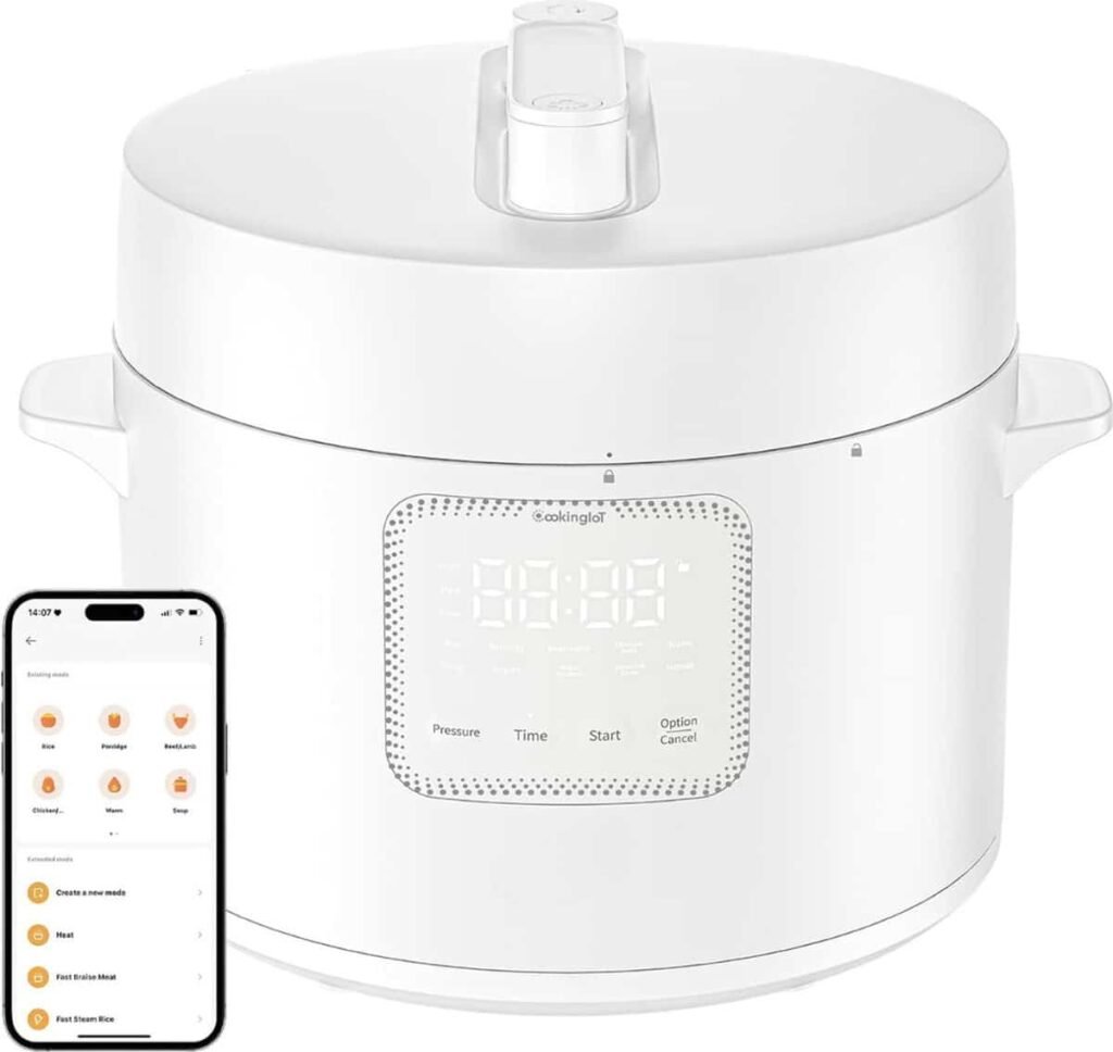 Cokinglot MULTIFRY-PRO Air Fryer Review